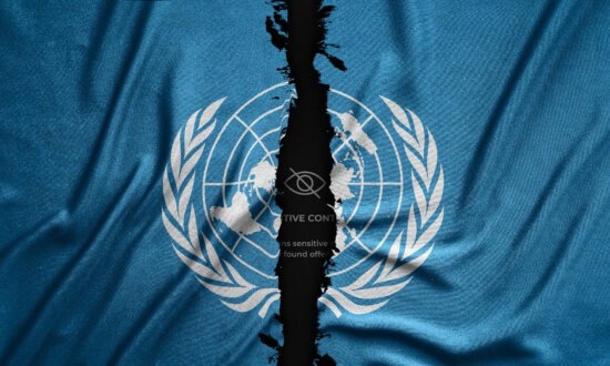 Dentro del Plan de la ONU para Controlar el Discurso en&nbsp;Línea